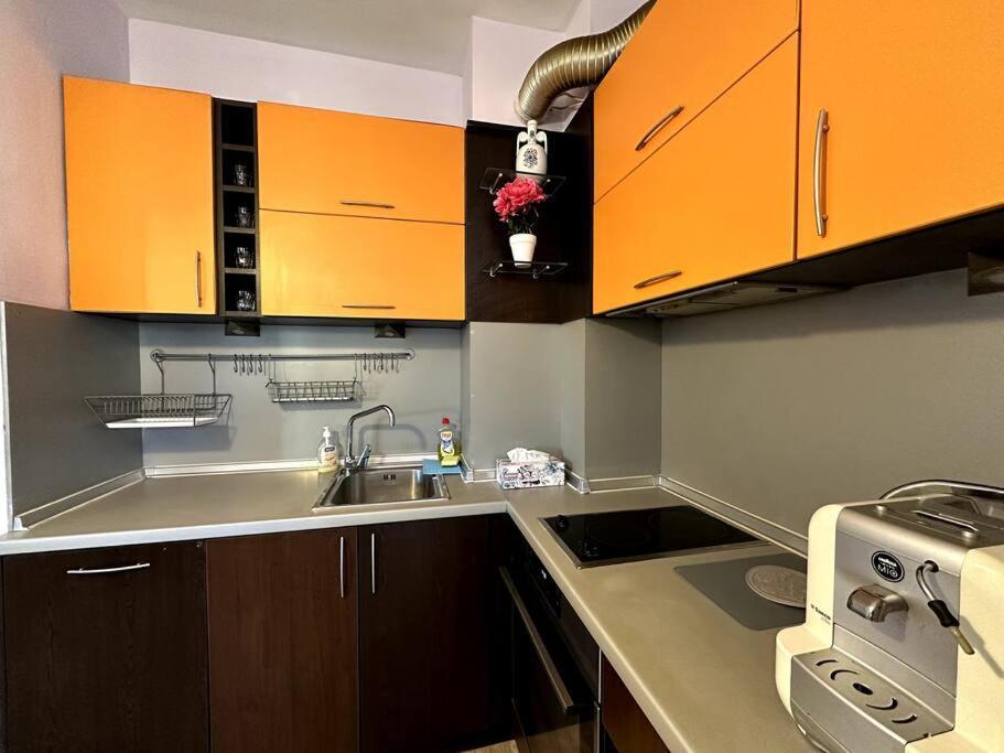 Cozy Flat In Central Sofya Dış mekan fotoğraf
